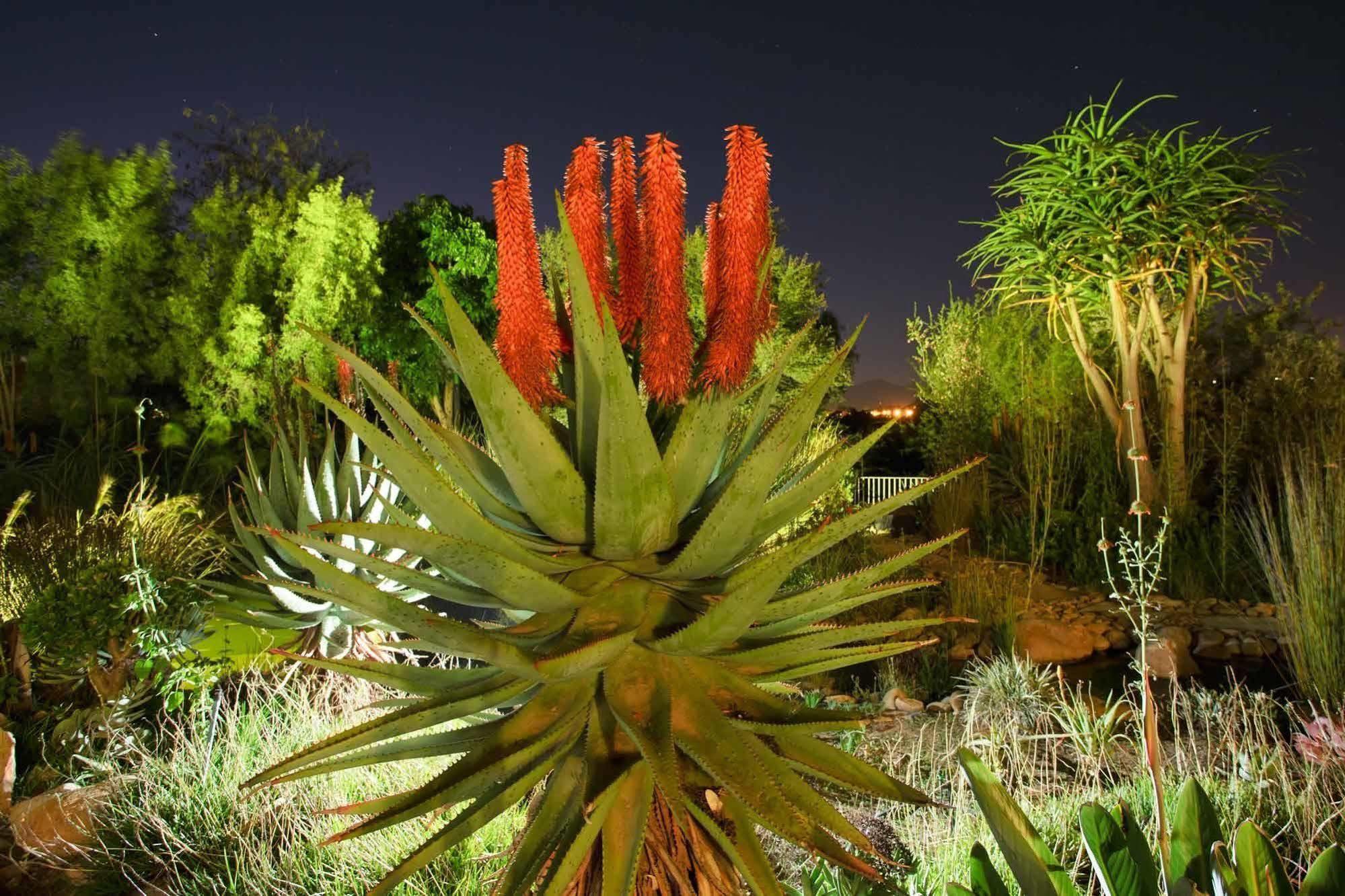 Aloe Manor Otel Oudtshoorn Dış mekan fotoğraf